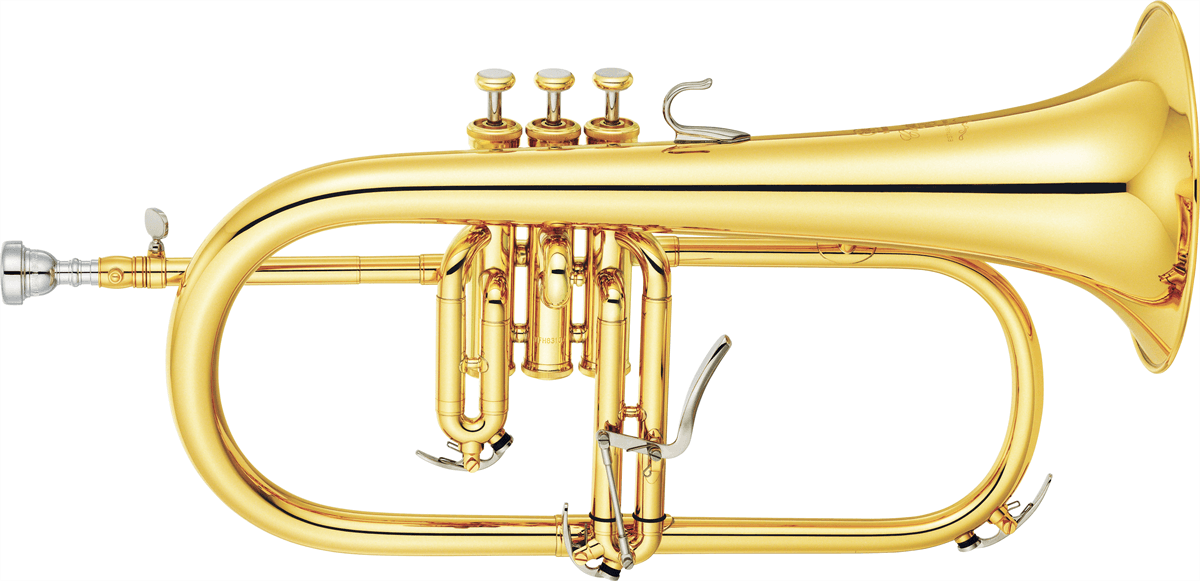 Yamaha Flugel Horn YFH-8310Z Custom